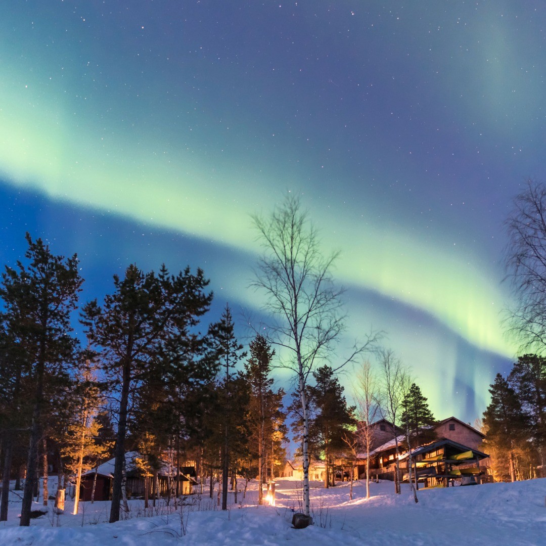 Lapland Under the Northern Lights (with Freebird)