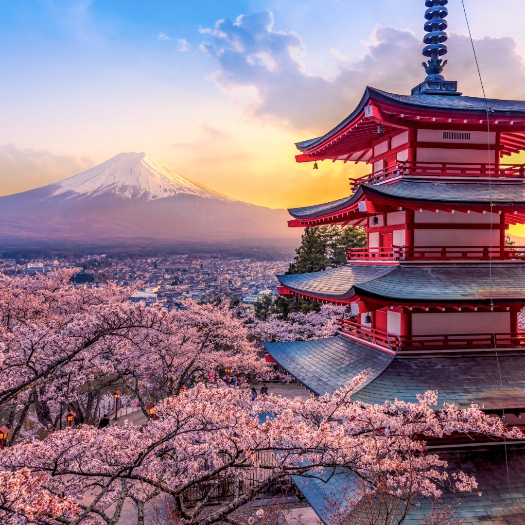 Premium Japonya & Güney Kore Turu (Seul, Busan, Osaka, Kyoto, Tokyo)