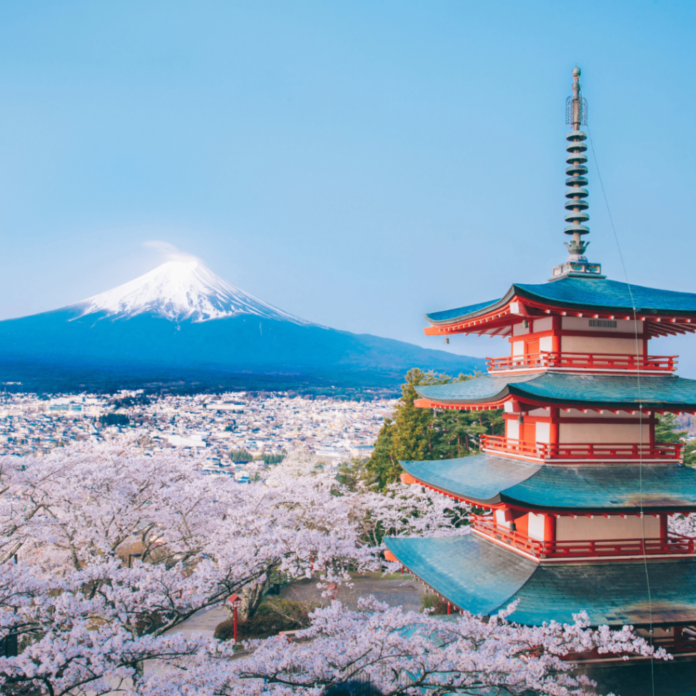 Japonya ve Güney Kore Turu (Tokyo, Kyoto, Osaka, Nara, Seul)